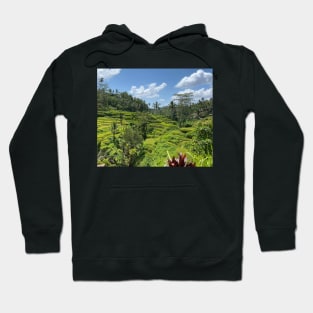 beauty of nature Hoodie